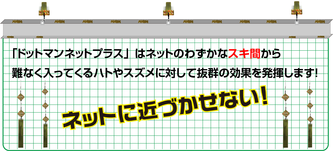 ネットに近づかせない!!