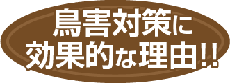 鳥害対策に効果的な理由!!